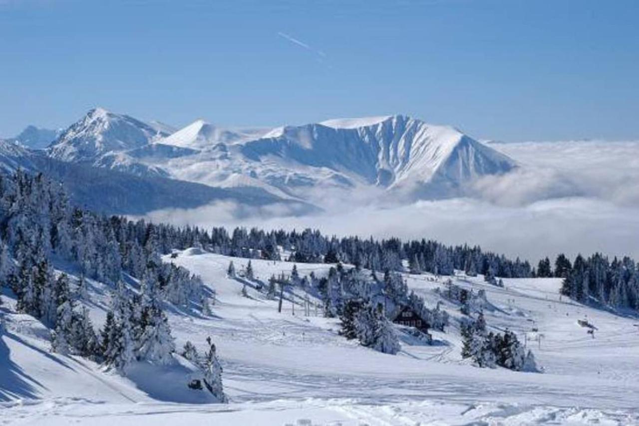 Charmant Studio Cabine Cocoon A 100 M Des Pistes Chamrousse Eksteriør bilde